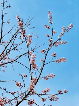 春风拂面，启航新程；代表齐聚，砥砺奋进。