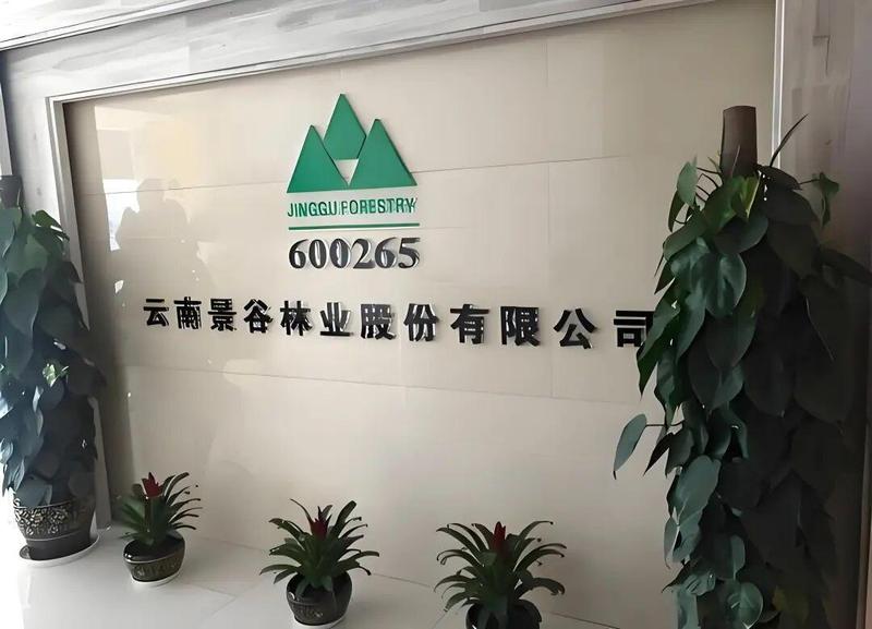  ST景谷旧账纠纷升级；刑事立案启动；保壳举措显现转机。 股票财经 ST景谷旧账纠纷升级；刑事立案启动；保壳举措显现转机。 股票财经 ST景谷旧账纠纷升级；刑事立案启动；保壳举措显现转机。 股票财经 ST景谷旧账纠纷升级；刑事立案启动；保壳举措显现转机。 股票财经 ST景谷旧账纠纷升级；刑事立案启动；保壳举措显现转机。 股票财经