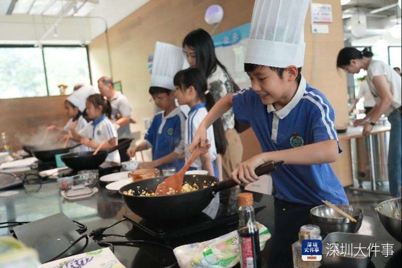  灶台间的教育哲学：从蛋炒饭重构生活掌控力 教育招生