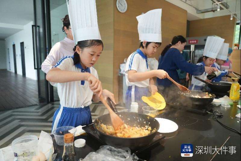  灶台间的教育哲学：从蛋炒饭重构生活掌控力 教育招生