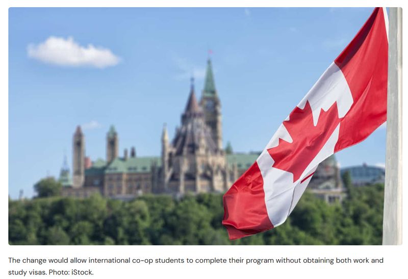  等了247天还没结果？别让签证困住你的加拿大留学梦 情感心理