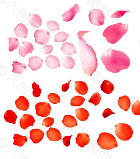  创新药IPO迷局：信诺维三年半亏16.5亿的资本逻辑与技术壁垒 股票财经