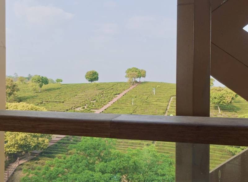  技术视角下的bynaked裸心：一次关于「低干扰度假」的系统性解析 文化旅游