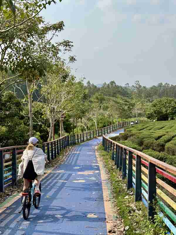  技术视角下的bynaked裸心：一次关于「低干扰度假」的系统性解析 文化旅游