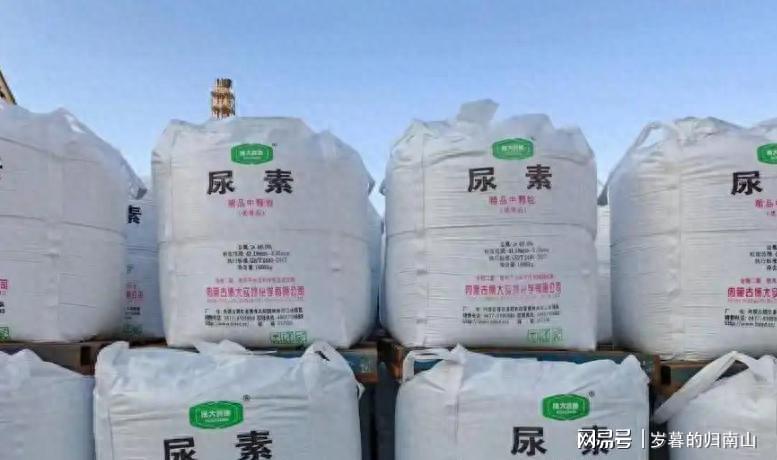  那个春天，印度的麦田等不来一袋尿素——当信任成为最贵的奢侈品 新闻