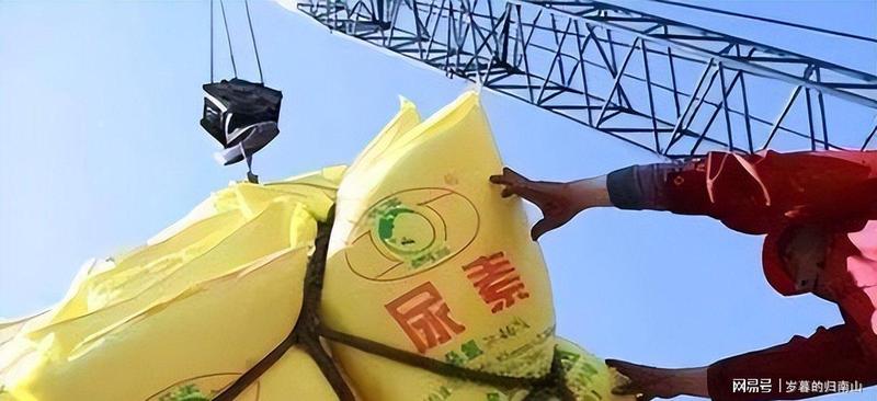  那个春天，印度的麦田等不来一袋尿素——当信任成为最贵的奢侈品 新闻