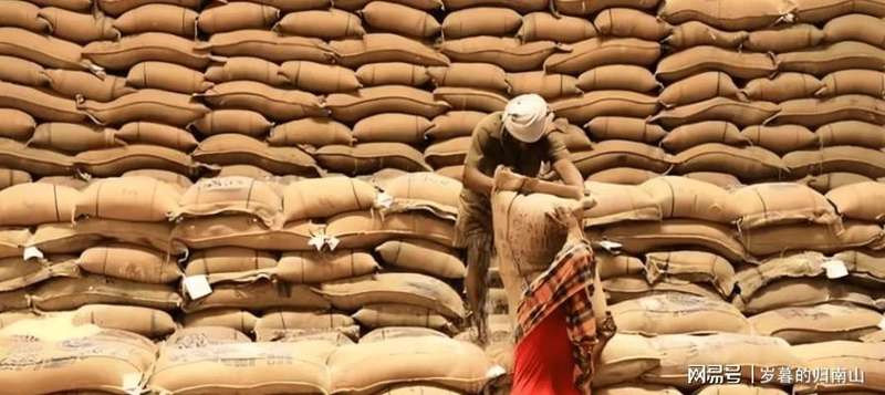  那个春天，印度的麦田等不来一袋尿素——当信任成为最贵的奢侈品 新闻