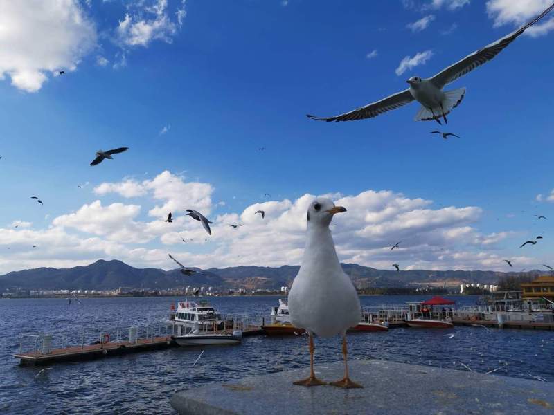  从“炙热困境”到“清凉方案”：东北高校宿舍空调改造的系统性分析 教育招生