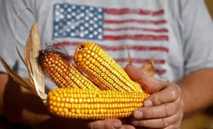  透视特朗普家族访华：政治资本如何转化为商业筹码 新闻