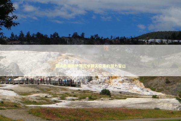 新兴数据防护潮流中聊天应用的潜力窗口 新闻