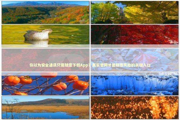 你以为安全通讯只需随意下载App？其实官网才是颠覆风险的关键入口 新闻