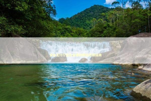 安全支付行业从业者的网站选择指南