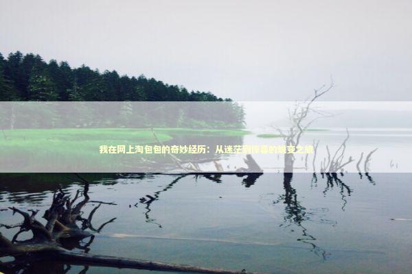 我在网上淘包包的奇妙经历：从迷茫到惊喜的蜕变之旅 时尚用品