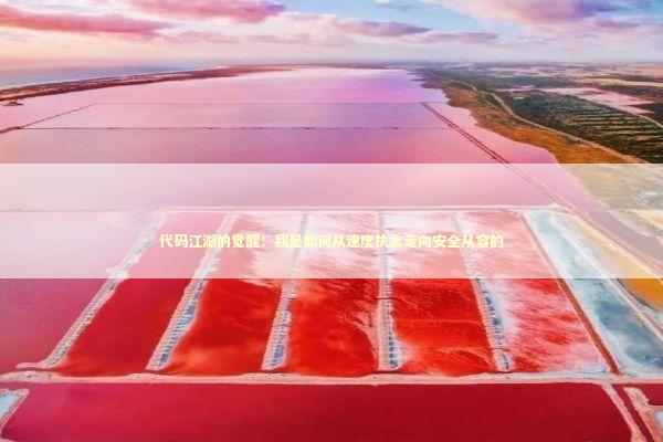 代码江湖的觉醒：我是如何从速度执念走向安全从容的 IT技术