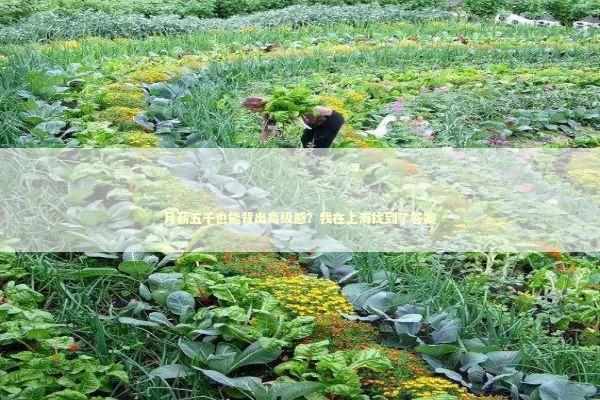 月薪五千也能背出高级感？我在上海找到了答案 时尚用品