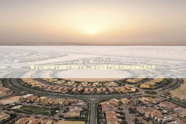 那个让我折腾了整整三天的下午，终于搞懂了这类工具的正确打开方式 IT技术