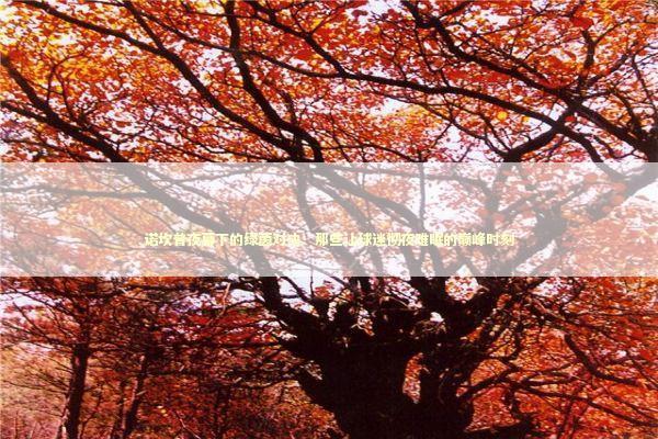 诺坎普夜幕下的绿茵对决：那些让球迷彻夜难眠的巅峰时刻 体育新闻